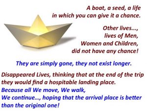 boat-seed-homepage